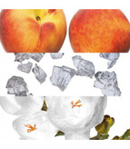 خرید مام اکلت فم ویکند