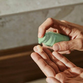 کرم صورت ولوسوفی