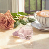 ادوپرفیوم ولار تندر