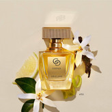 پرفیوم جوردانی گلد اسنزا اوریفلیم