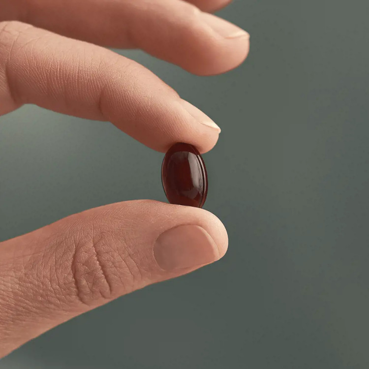 استاکسانتین ولوسوفی